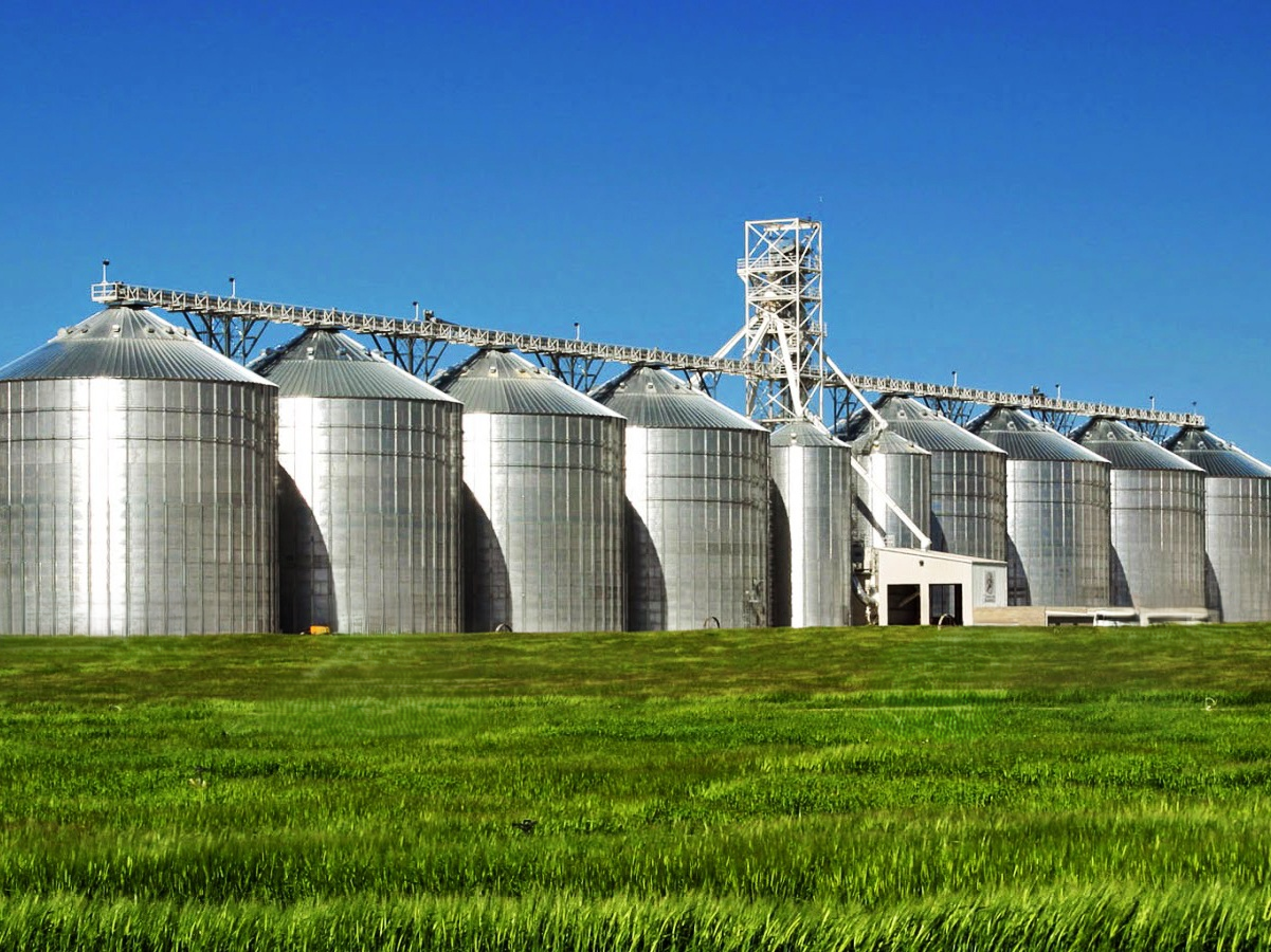 Проект зерноочистительного комплекса. Московская область